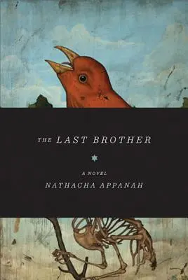 L'ultimo fratello - The Last Brother