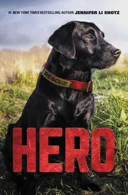 Eroe - Hero