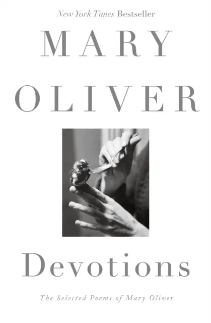 Devozioni - Devotions