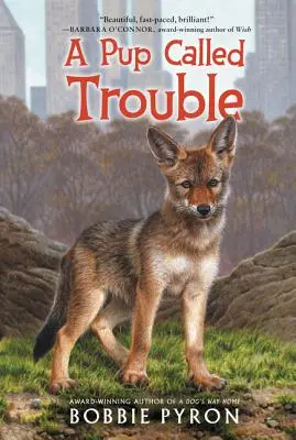 Un cucciolo chiamato guai - A Pup Called Trouble