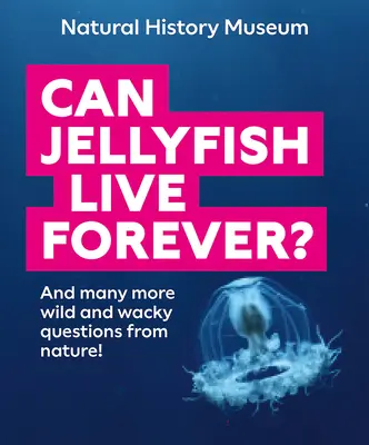 Le meduse possono vivere per sempre? E molte altre domande selvagge e stravaganti dalla natura! - Can Jellyfish Live Forever?: And Many More Wild and Wacky Questions from Nature!