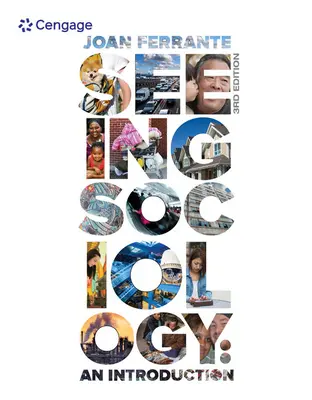 Vedere la sociologia: Un'introduzione - Seeing Sociology: An Introduction