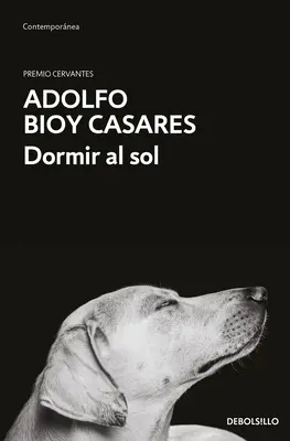 Dormire al sole / Dormire al sole - Dormir Al Sol / Asleep in the Sun