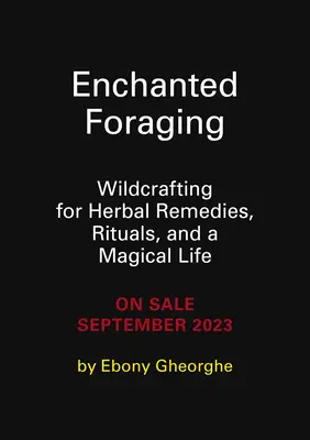 Foraging incantato: Wildcrafting per rimedi erboristici, rituali e una vita magica - Enchanted Foraging: Wildcrafting for Herbal Remedies, Rituals, and a Magical Life