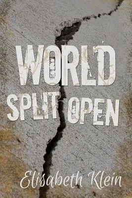 Il mondo aperto - World Split Open