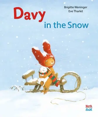 Davy nella neve - Davy in the Snow