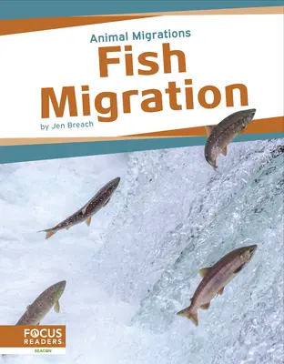 Migrazione dei pesci - Fish Migration