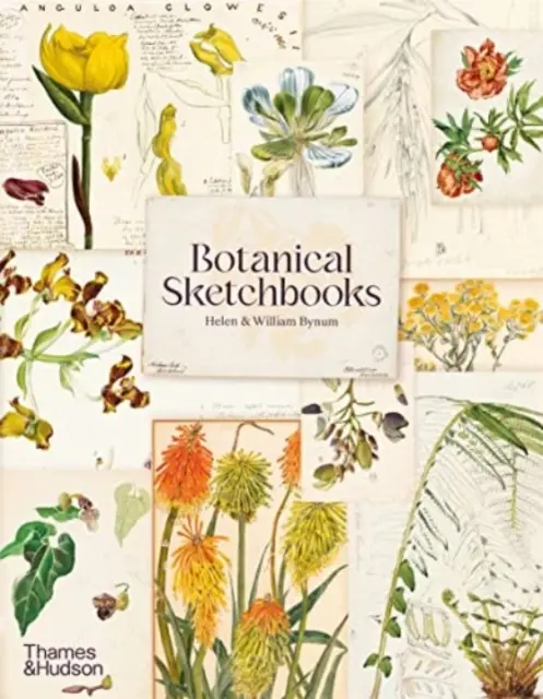Schizzi botanici - Botanical Sketchbooks