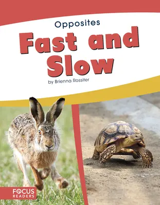 Veloce e lento - Fast and Slow