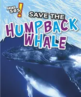 Salvare la megattera - Save the Humpback Whale