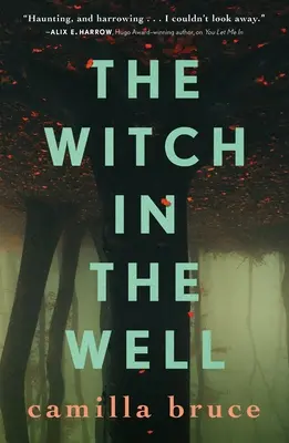 La strega nel pozzo - The Witch in the Well