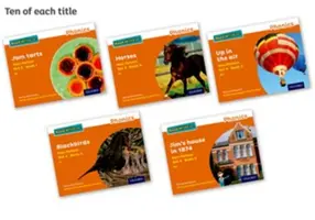 Leggere scrivere Inc. Fonetica: Set arancione 4 Libri di saggistica (confezione da 50) - Read Write Inc. Phonics: Orange Set 4 Non-fiction books (Pack of 50)
