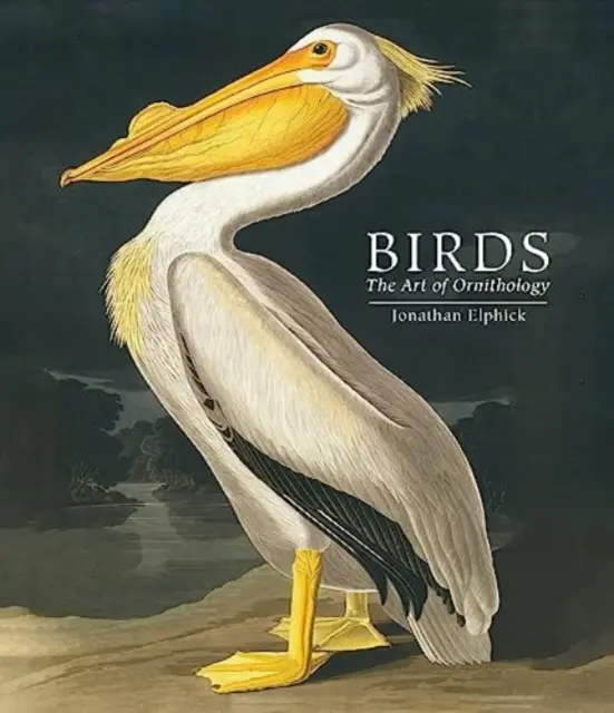 Uccelli - L'arte dell'ornitologia (edizione tascabile) - Birds - The Art of Ornithology (Pocket edition)