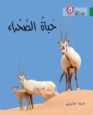Vita del deserto - Livello 15 - Life of the Desert - Level 15