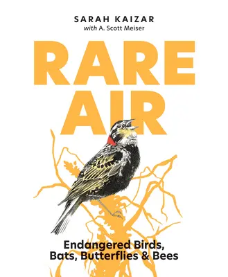 Aria rara: Uccelli, pipistrelli, farfalle e api in via di estinzione - Rare Air: Endangered Birds, Bats, Butterflies, & Bees