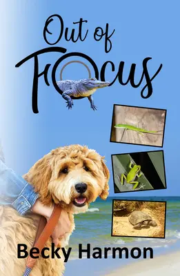 Fuori fuoco - Out of Focus