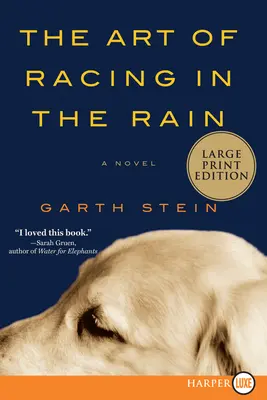 L'arte di correre sotto la pioggia - The Art of Racing in the Rain