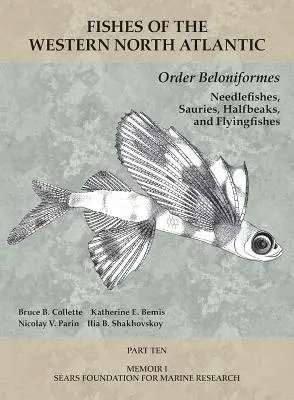 Ordine Beloniformes: Pesci ago, sauri, mezzibusti e pesci volanti: Parte 10 - Order Beloniformes: Needlefishes, Sauries, Halfbeaks, and Flyingfishes: Part 10