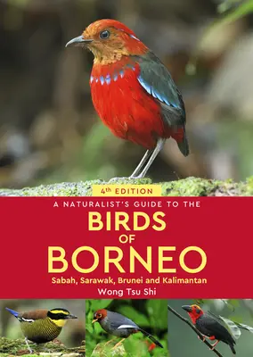 Guida naturalistica agli uccelli del Borneo - A Naturalist's Guide to the Birds of Borneo
