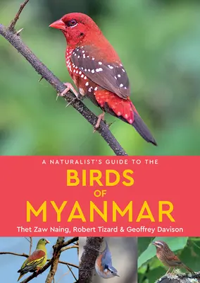 Guida naturalistica agli uccelli del Myanmar - A Naturalist's Guide to the Birds of Myanmar