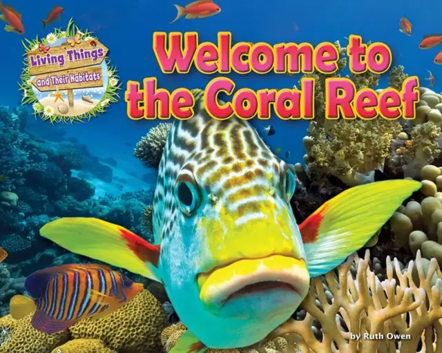 Benvenuti nella barriera corallina - Welcome to the Coral Reef