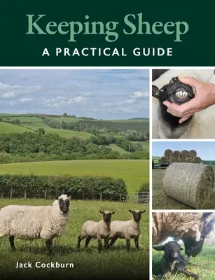 Allevare le pecore - Keeping Sheep