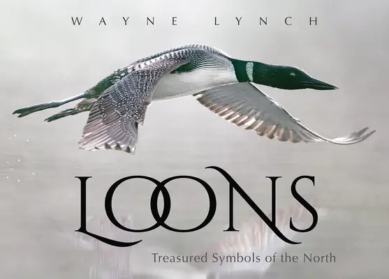I loon: Simboli preziosi del Nord - Loons: Treasured Symbols of the North