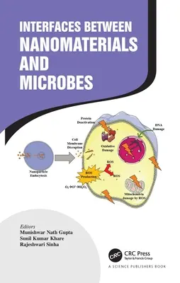Interfacce tra nanomateriali e microbi - Interfaces Between Nanomaterials and Microbes
