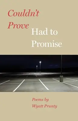 Non potevo provare, dovevo promettere - Couldn't Prove, Had to Promise
