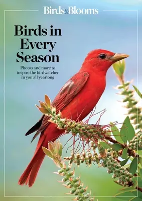 Birds & Blooms Uccelli in ogni stagione: Proteggere i volatili nel vostro giardino per tutto l'anno - Birds & Blooms Birds in Every Season: Cherish the Feathered Flyers in Your Yard All Year Long