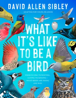 Com'è essere un uccello (adattato per giovani lettori): Dal volo al nido, dal mangiare al cantare: cosa fanno e perché gli uccelli - What It's Like to Be a Bird (Adapted for Young Readers): From Flying to Nesting, Eating to Singing--What Birds Are Doing and Why