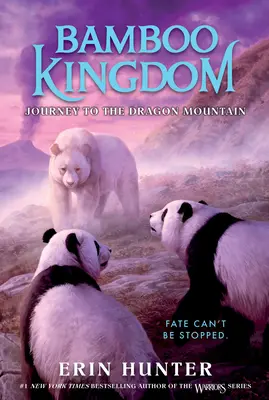 Regno di Bambù #3: Viaggio verso la Montagna del Drago - Bamboo Kingdom #3: Journey to the Dragon Mountain