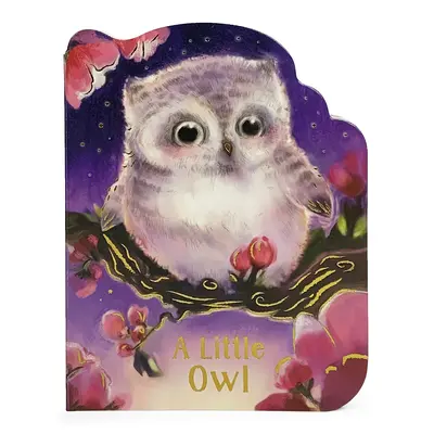 Un piccolo gufo - A Little Owl