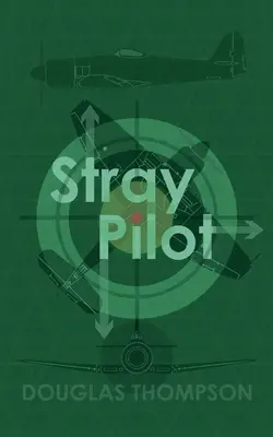 Pilota randagio - Stray Pilot