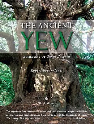 Tasso antico - Una storia del Taxus baccata - Ancient Yew - A History of Taxus Baccata