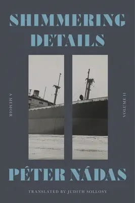 Dettagli scintillanti, volume II: un libro di memorie - Shimmering Details, Volume II: A Memoir