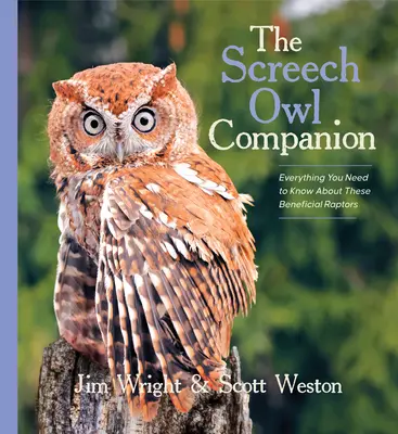 Il compagno del gufo urlatore: Tutto quello che c'è da sapere su questi benefici rapaci - The Screech Owl Companion: Everything You Need to Know about These Beneficial Raptors
