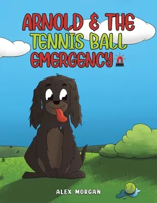 Arnold e l'emergenza palla da tennis - Arnold & The Tennis Ball Emergency