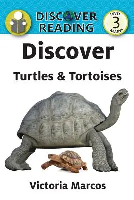 Scoprire tartarughe e testuggini - Discover Turtles & Tortoises