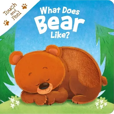 Cosa piace a Orso? Libro da tavolo “tocca e senti - What Does Bear Like?: Touch & Feel Board Book