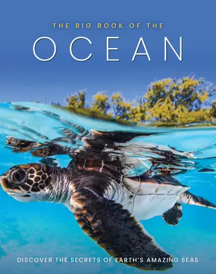 Il grande libro dell'oceano: Scopri i segreti degli straordinari mari della Terra - The Big Book of the Ocean: Discover the Secrets of the Earth's Amazing Seas