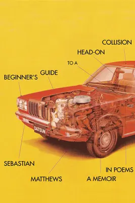 Guida per principianti a un incidente frontale - Beginner's Guide to a Head-On Collision