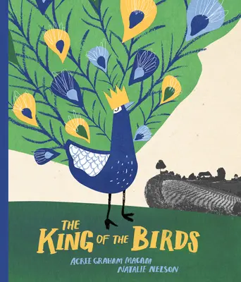 Il re degli uccelli - The King of the Birds