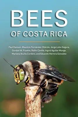 Le api della Costa Rica - Bees of Costa Rica
