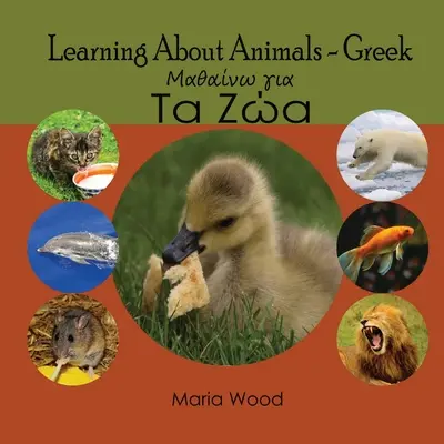 Imparare a conoscere gli animali in greco - Learning About Animals- Greek
