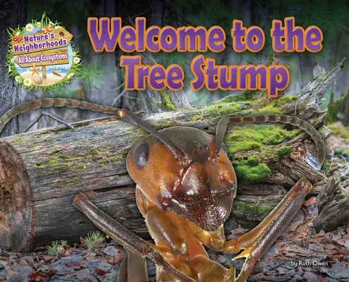 Benvenuti al ceppo dell'albero - Welcome to the Tree Stump