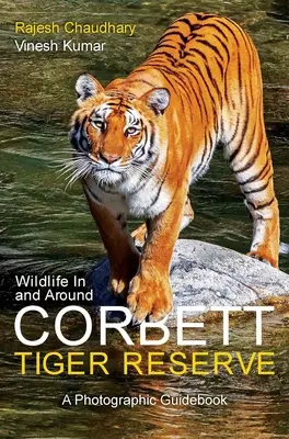 La fauna selvatica nella riserva delle tigri di Corbett e dintorni: Guida fotografica - Wildlife in and Around Corbett Tiger Reserve: A Photographic Guidebook