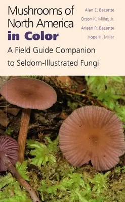 Funghi del Nord America a colori: una guida da campo per funghi raramente illustrati - Mushrooms of North America in Color: A Field Guide Companion to Seldom-Illustrated Fungi