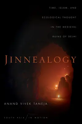 Jinnealogia: Tempo, Islam e pensiero ecologico nelle rovine medievali di Delhi - Jinnealogy: Time, Islam, and Ecological Thought in the Medieval Ruins of Delhi