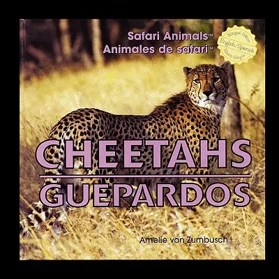 Ghepardi/Guardi - Cheetahs/Guepardos